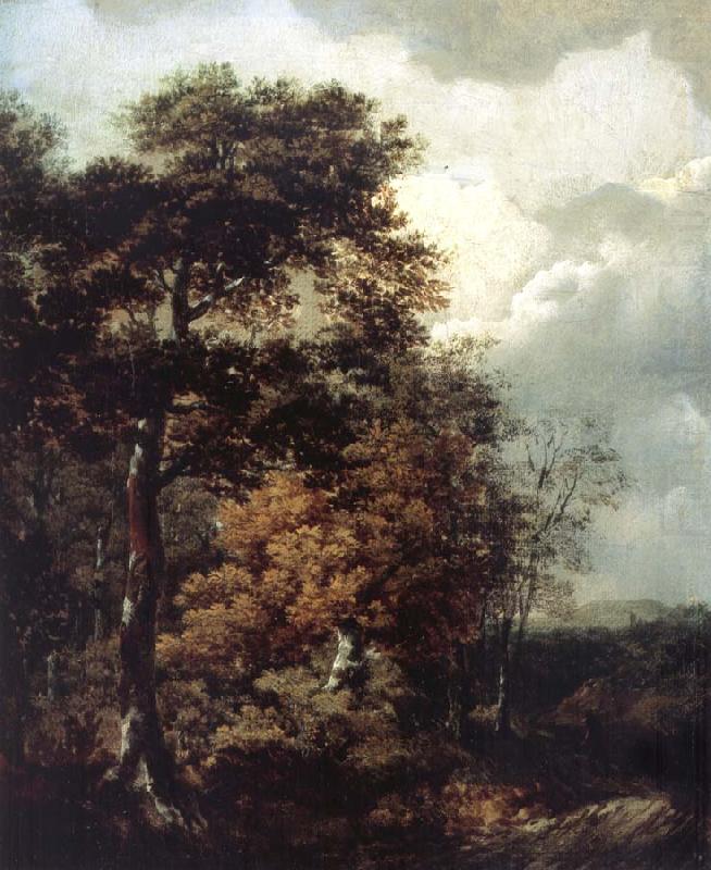 Landscape with a Peasant on a Path, Thomas Gainsborough